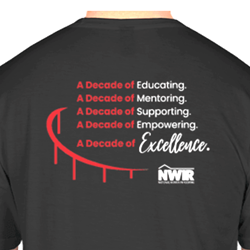 LADIES V-NECK - 2XL    (*run small ordering up a size recommended)